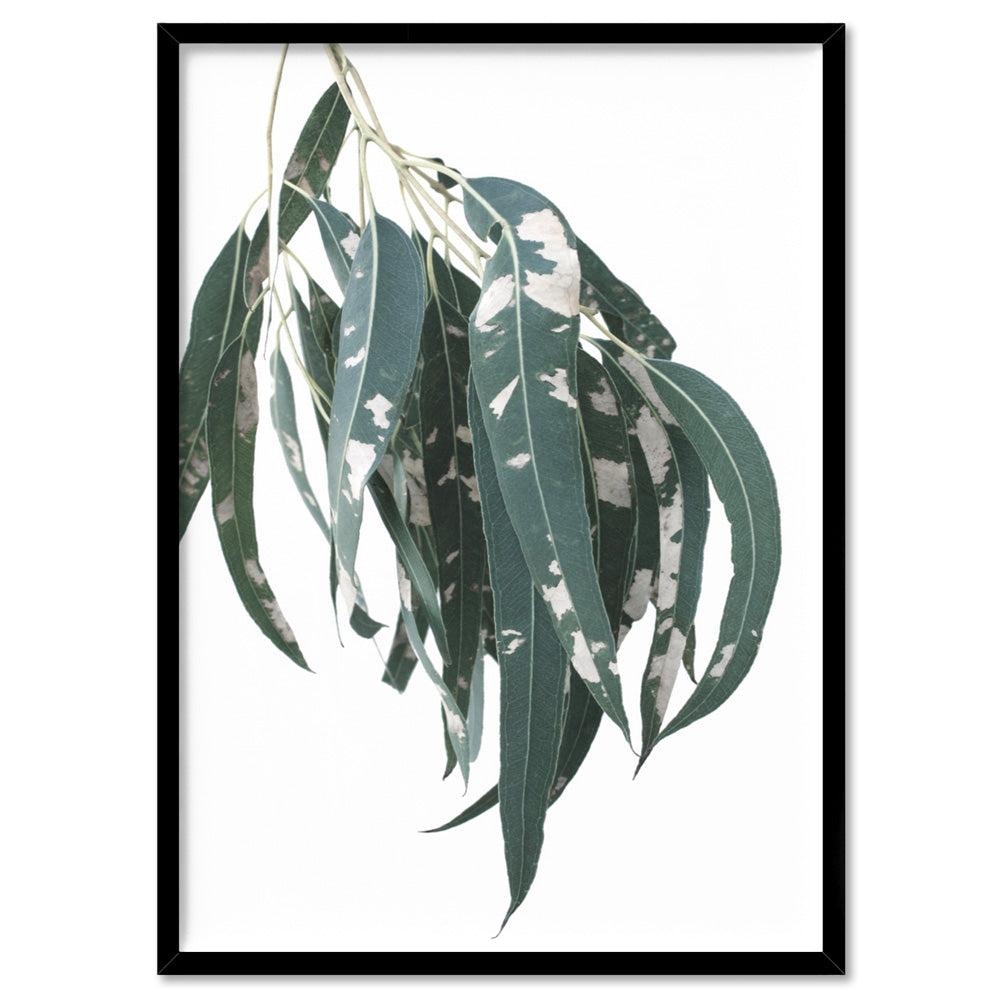 Spotty Gumtree Eucalyptus Leaves II - Art Print, Poster, Stretched Canvas, or Framed Wall Art Print, shown in a black frame