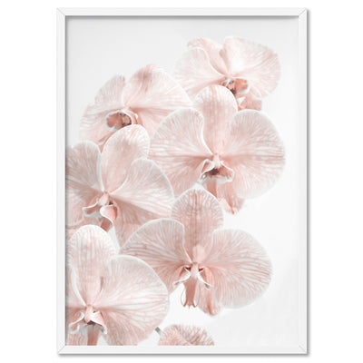 Blushing Orchid Blooms I - Art Print, Poster, Stretched Canvas, or Framed Wall Art Print, shown in a white frame
